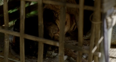 黑暗中的孩子们剧照的剧照