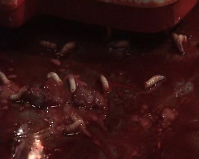 侦探物语剧照的剧照