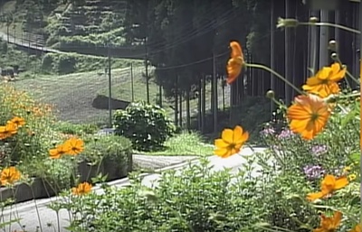 幽婚剧照的剧照