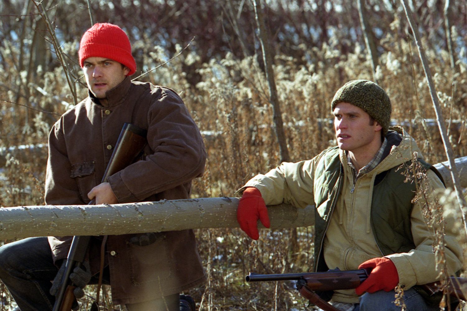 极光下剧照的剧照