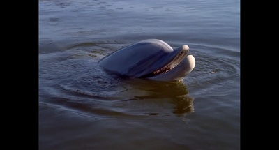 深海巡弋剧照的剧照