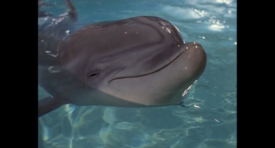 深海巡弋剧照的剧照