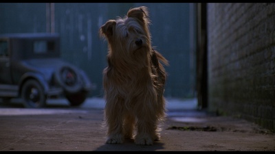 米勒的十字路口剧照的剧照