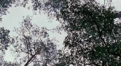 米勒的十字路口剧照的剧照