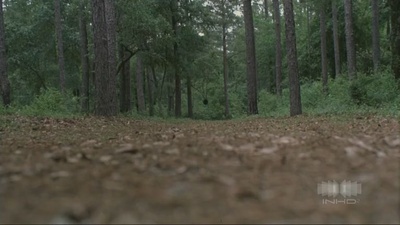 米勒的十字路口剧照的剧照