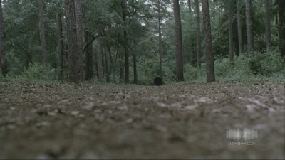 米勒的十字路口剧照的剧照