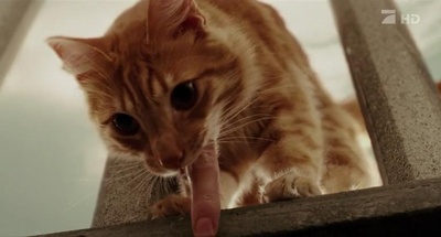 老妇杀手剧照的剧照