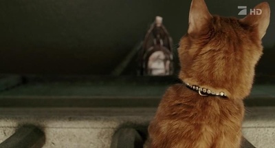 老妇杀手剧照的剧照