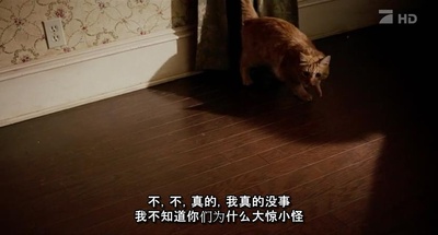 老妇杀手剧照的剧照