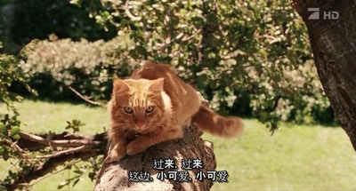 老妇杀手剧照的剧照