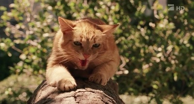 老妇杀手剧照的剧照