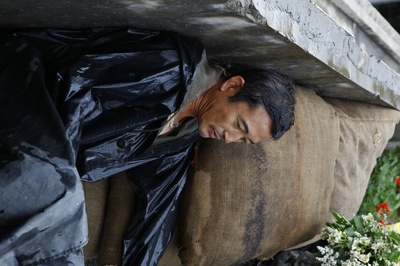 雨中的树剧照的剧照