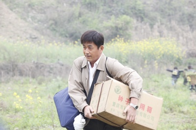 雨中的树剧照的剧照