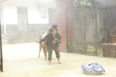 雨中的树剧照的剧照