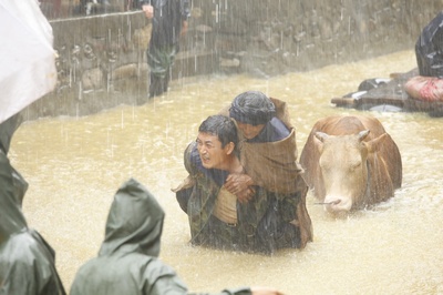雨中的树剧照的剧照