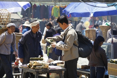 雨中的树剧照的剧照