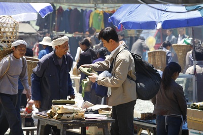 雨中的树剧照的剧照