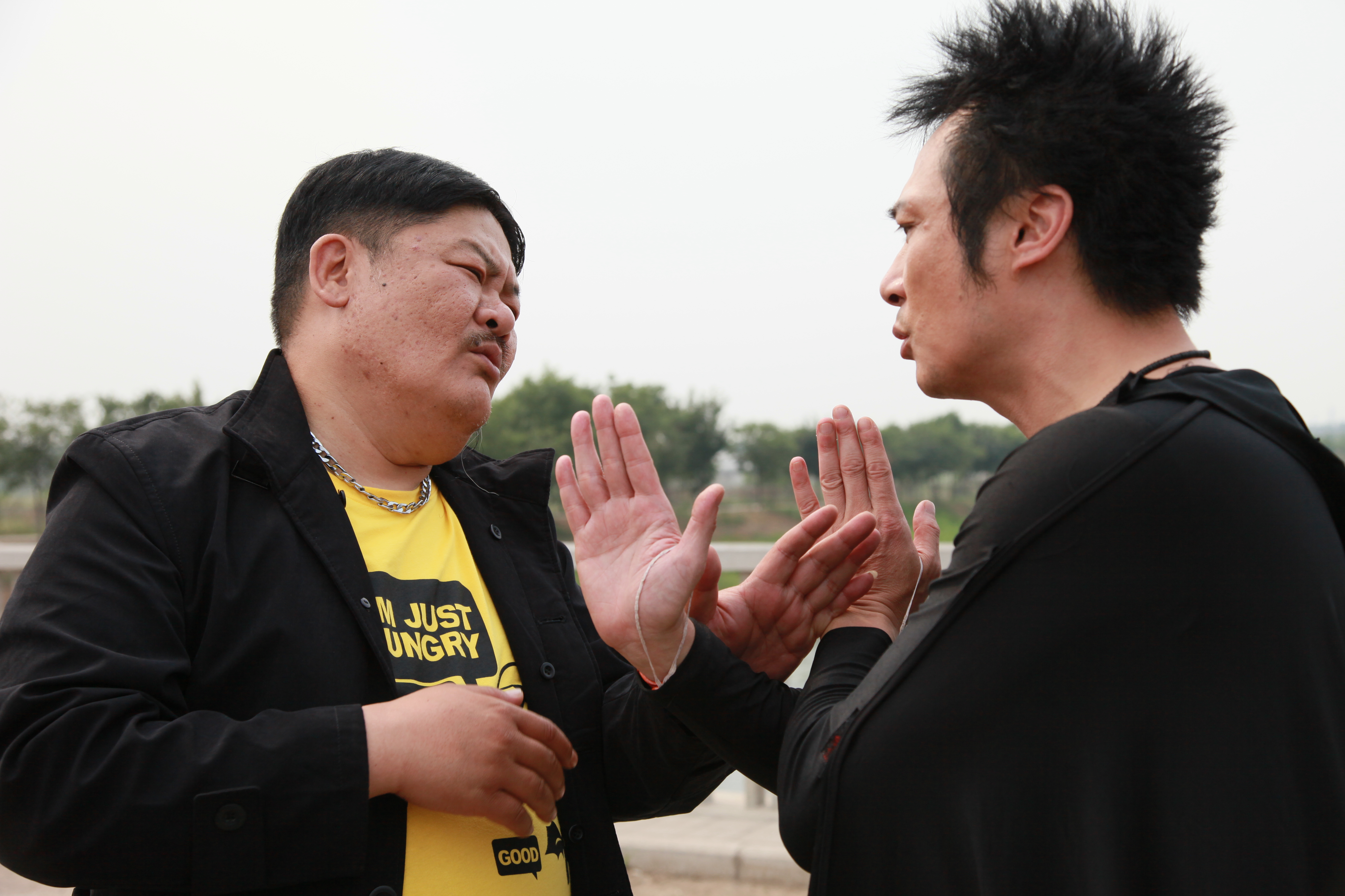 疯狂的蠢贼剧照的剧照