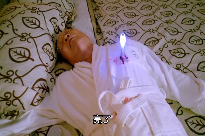 疯狂的蠢贼剧照的剧照