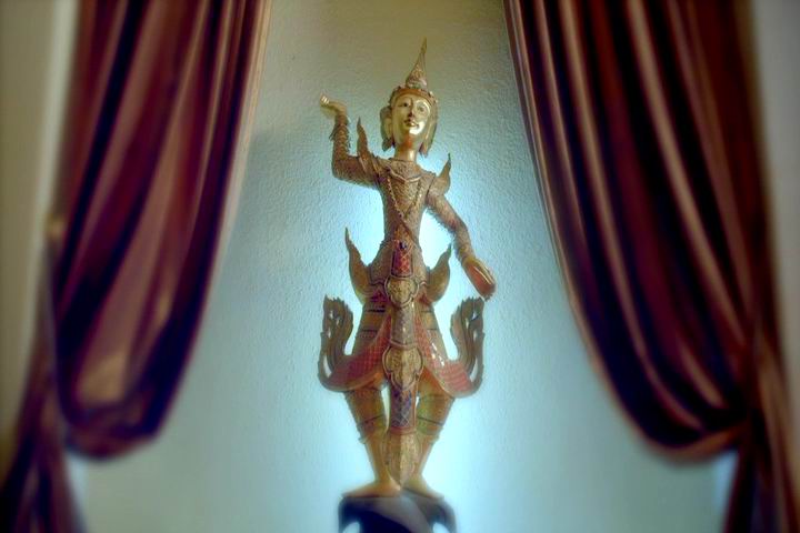 疯狂的蠢贼剧照的剧照