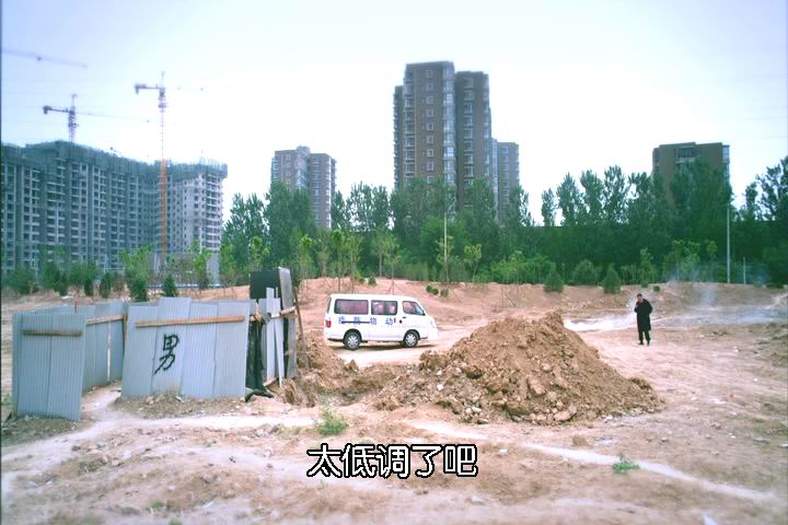 疯狂的蠢贼剧照的剧照