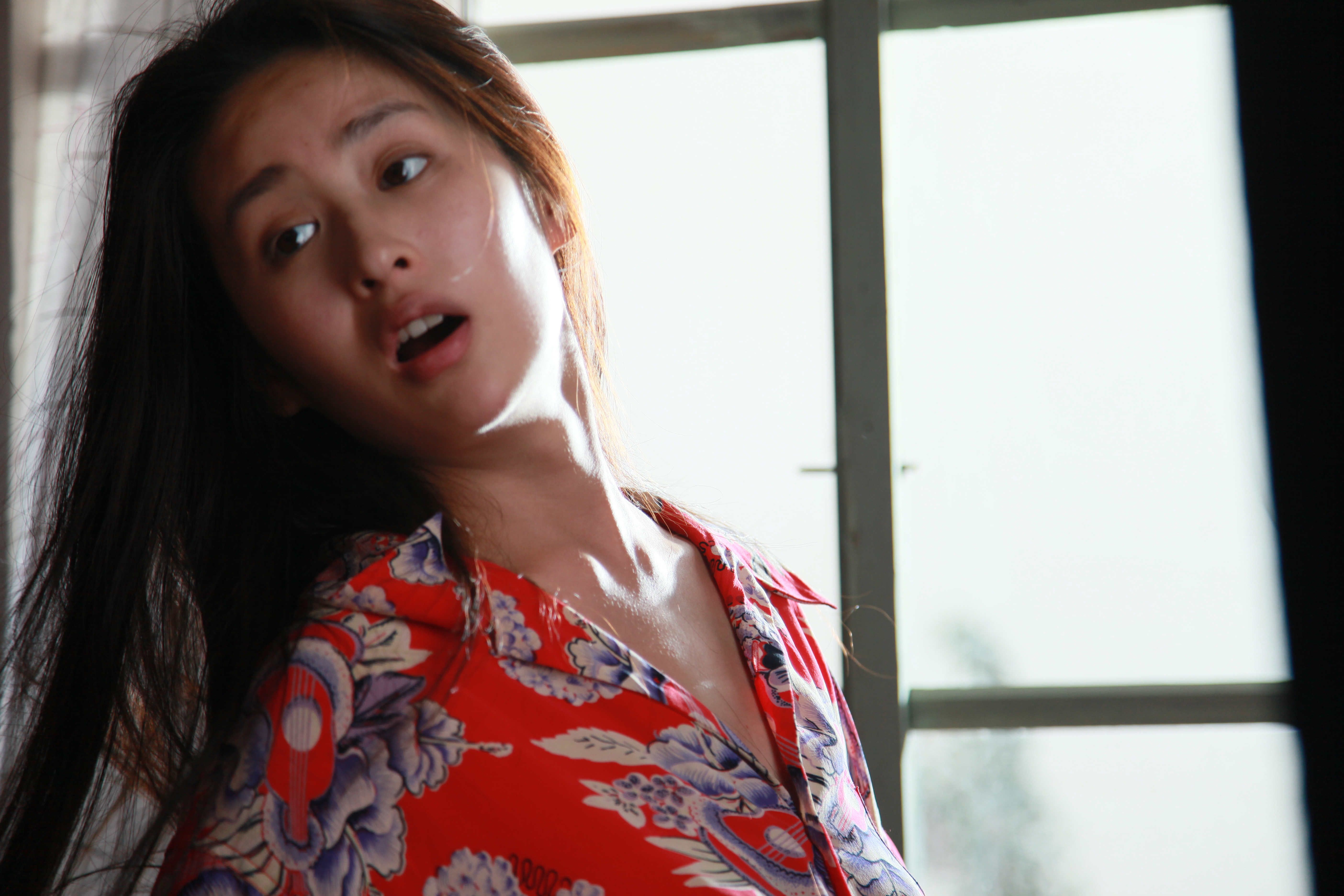 疯狂的蠢贼剧照的剧照