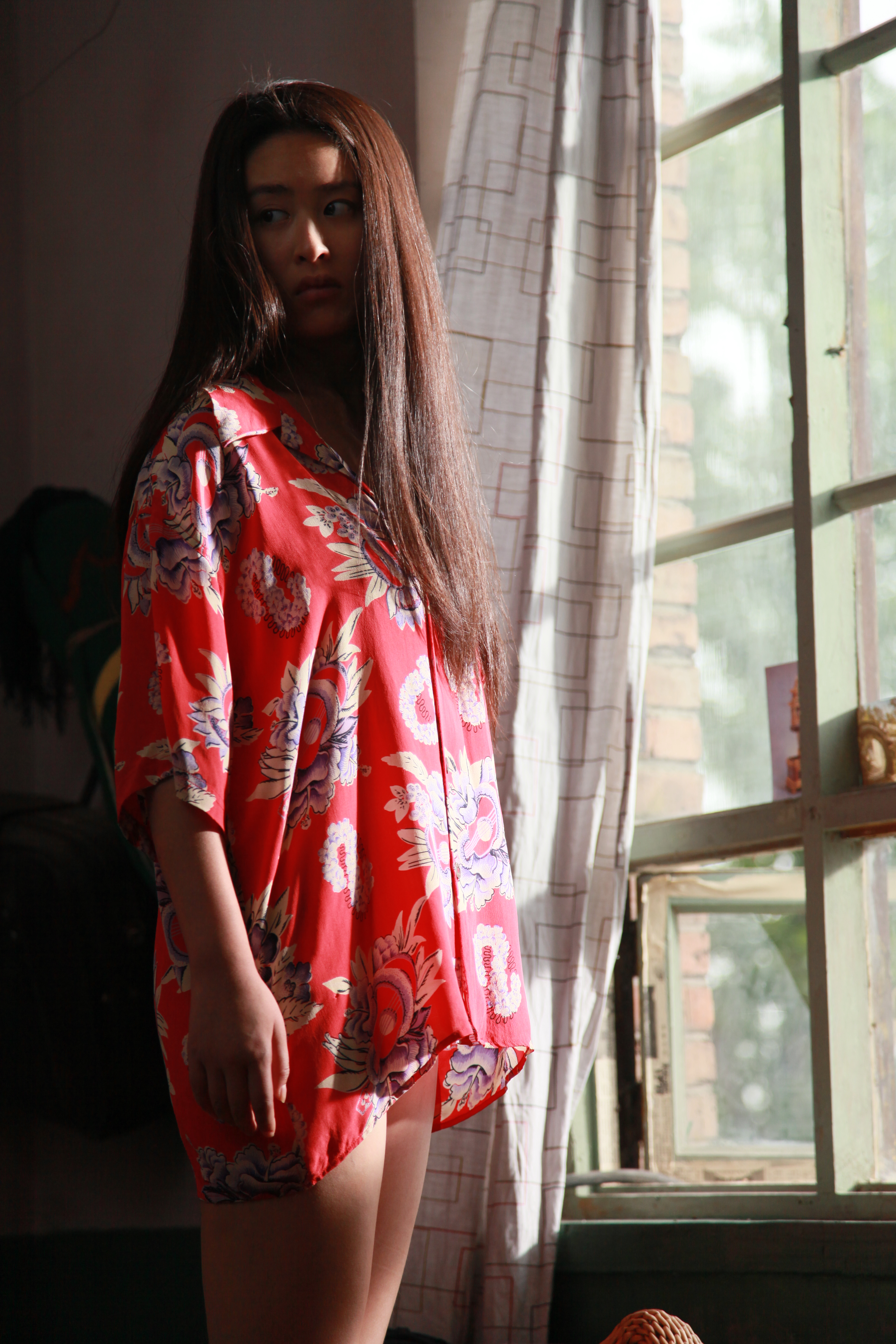 疯狂的蠢贼剧照的剧照