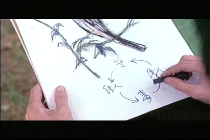 行规剧照的剧照