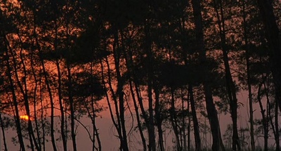 僵尸大时代剧照的剧照