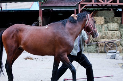 杀戒剧照的剧照