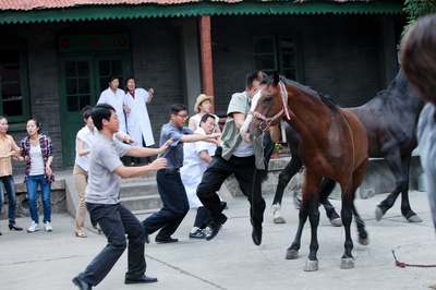杀戒剧照的剧照