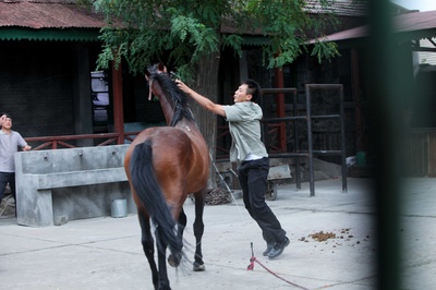 杀戒剧照的剧照