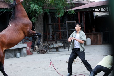 杀戒剧照的剧照