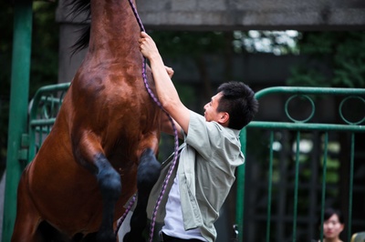 杀戒剧照的剧照