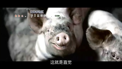 殴打诱发者剧照的剧照