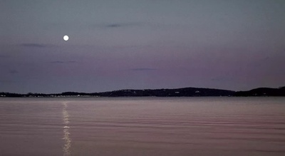 浪漫主义者剧照的剧照