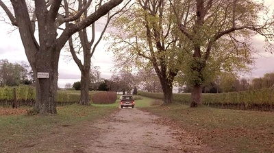 浪漫主义者剧照的剧照