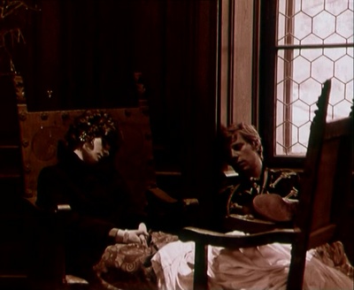 石头上的苔藓剧照的剧照