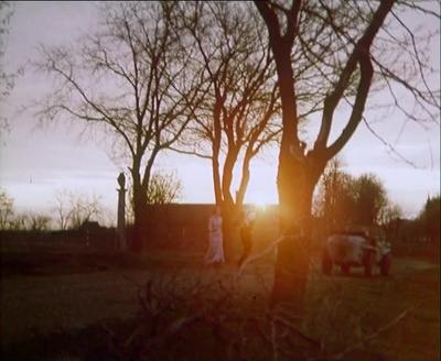 石头上的苔藓剧照的剧照