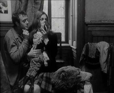 石头上的苔藓剧照的剧照