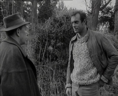 石头上的苔藓剧照的剧照