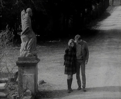 石头上的苔藓剧照的剧照