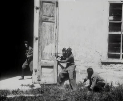 石头上的苔藓剧照的剧照