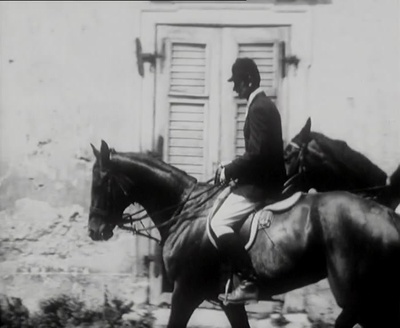 石头上的苔藓剧照的剧照