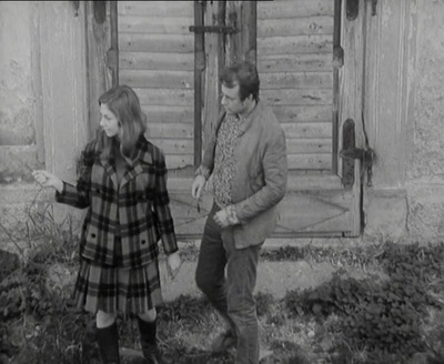 石头上的苔藓剧照的剧照