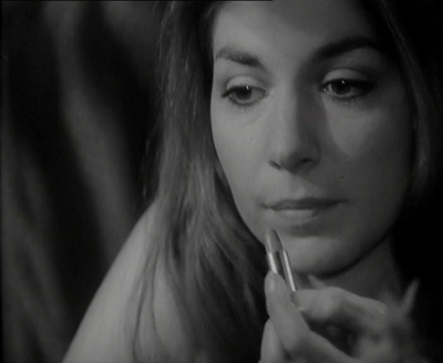 石头上的苔藓剧照的剧照