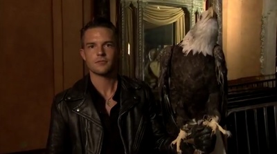 杀手乐队：非舞台现场剧照的剧照