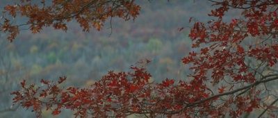 与魔鬼共骑剧照的剧照