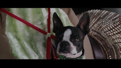 后备计划剧照的剧照