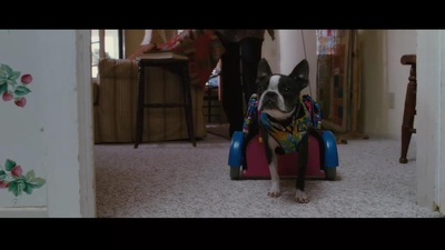 后备计划剧照的剧照